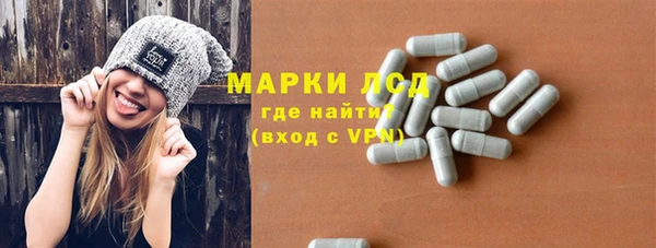 шишки Надым