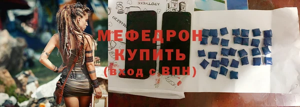 шишки Надым