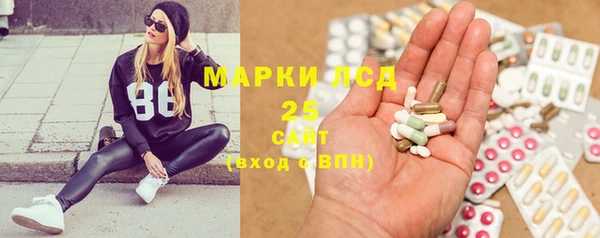 шишки Надым
