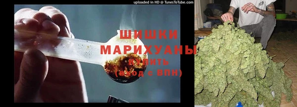 шишки Надым