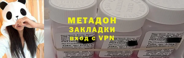 шишки Надым