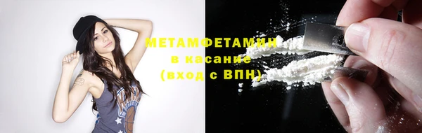 шишки Надым