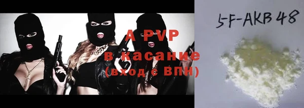 шишки Надым
