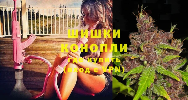 шишки Надым