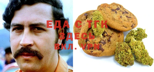 шишки Надым