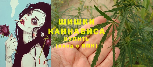 шишки Надым