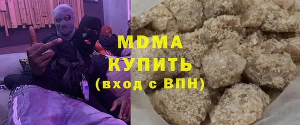 шишки Надым