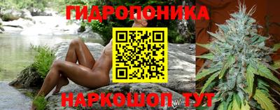 прущие грибы Бугуруслан