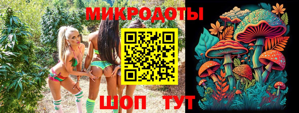 Псилоцибиновые грибы Psilocybine cubensis  Дубна  Галлюциногенные грибы GOLDEN TEACHER 