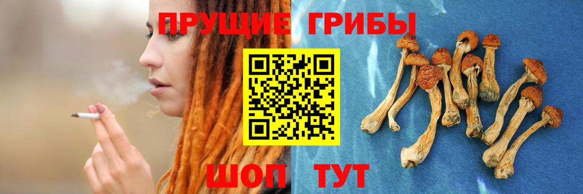 Дубна  Галлюциногенные грибы ЛСД  как найти закладки  Псилоцибиновые грибы GOLDEN TEACHER  Вход с VPN 