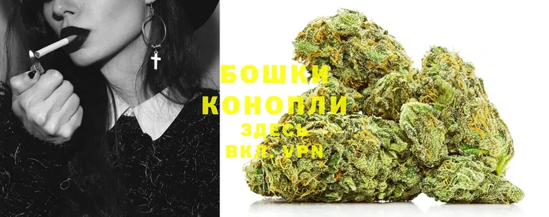 МАРИХУАНА OG Kush  Дубна 